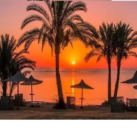 Domina Coral Bay Sea View Studio Sharm El Sheikh Buitenkant foto